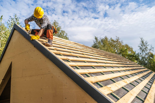 Best Affordable Roof Replacement  in Vandercook Lake, MI