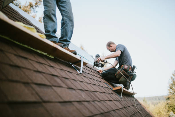 Reliable Vandercook Lake, MI Roofing Contractor Solutions