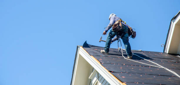 Best Roofing Contractors for Homes  in Vandercook Lake, MI